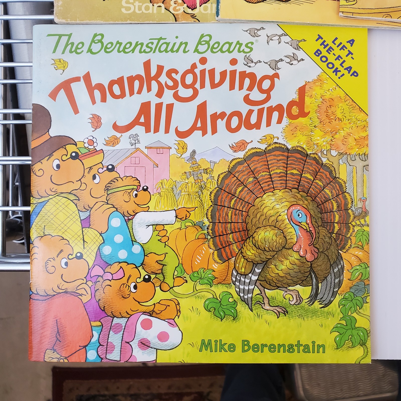 Lot of 17 Berenstain Bears Books by Stan and Jan Berenstain ~ Chapter & Picture