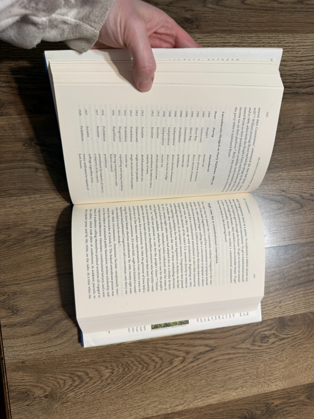 A History of the US Constitution We The People Jill Lepore, book
