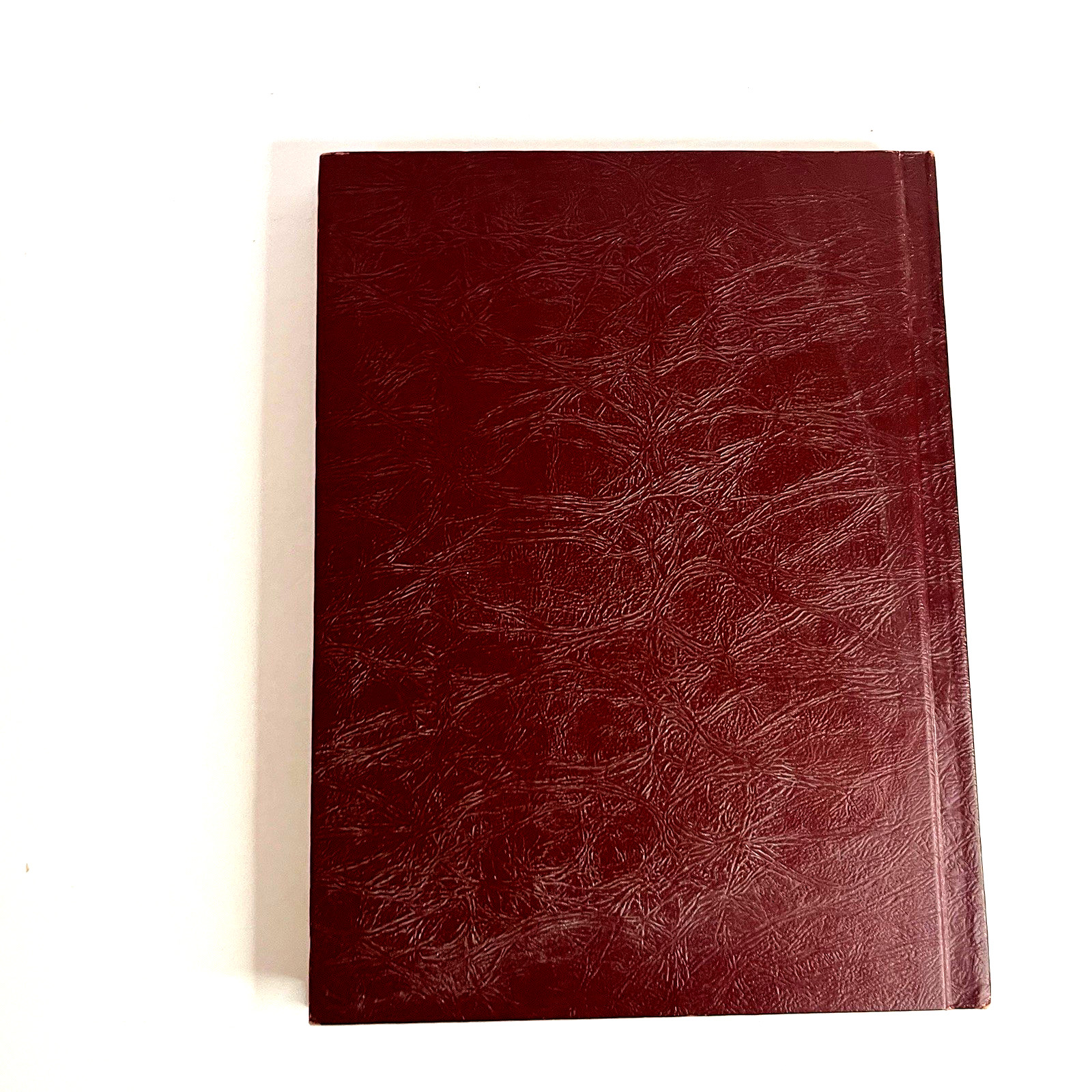Vintage The World In 1966 Book Series Mix Lot of 6 Hardcover by Associated Press