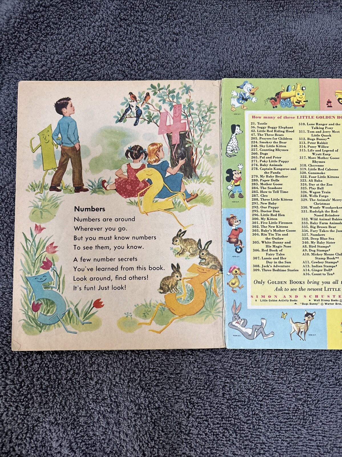 LITTLE GOLDEN NUMBERS 243 1955 A 1ST. EDITION .25