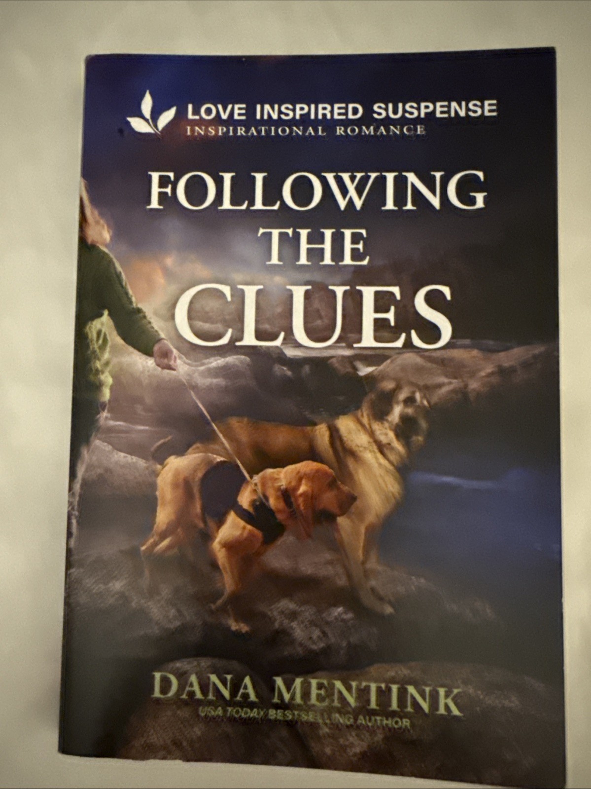 Following the Clues by Dana Mentink (2025, Trade Paperback)