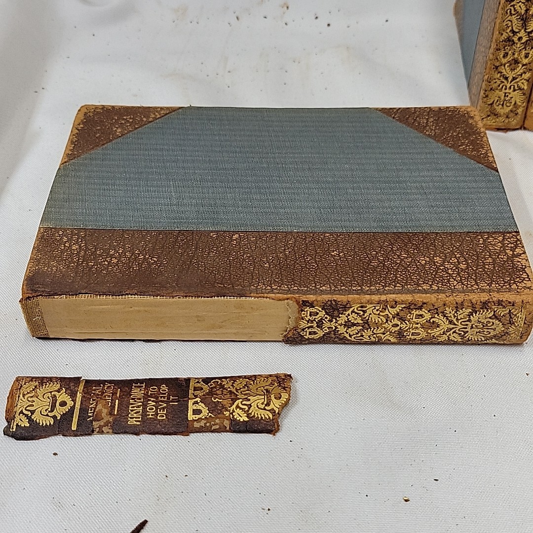 1915 Mental Efficiency Series Complete 10 Volume Set Hardcover Books