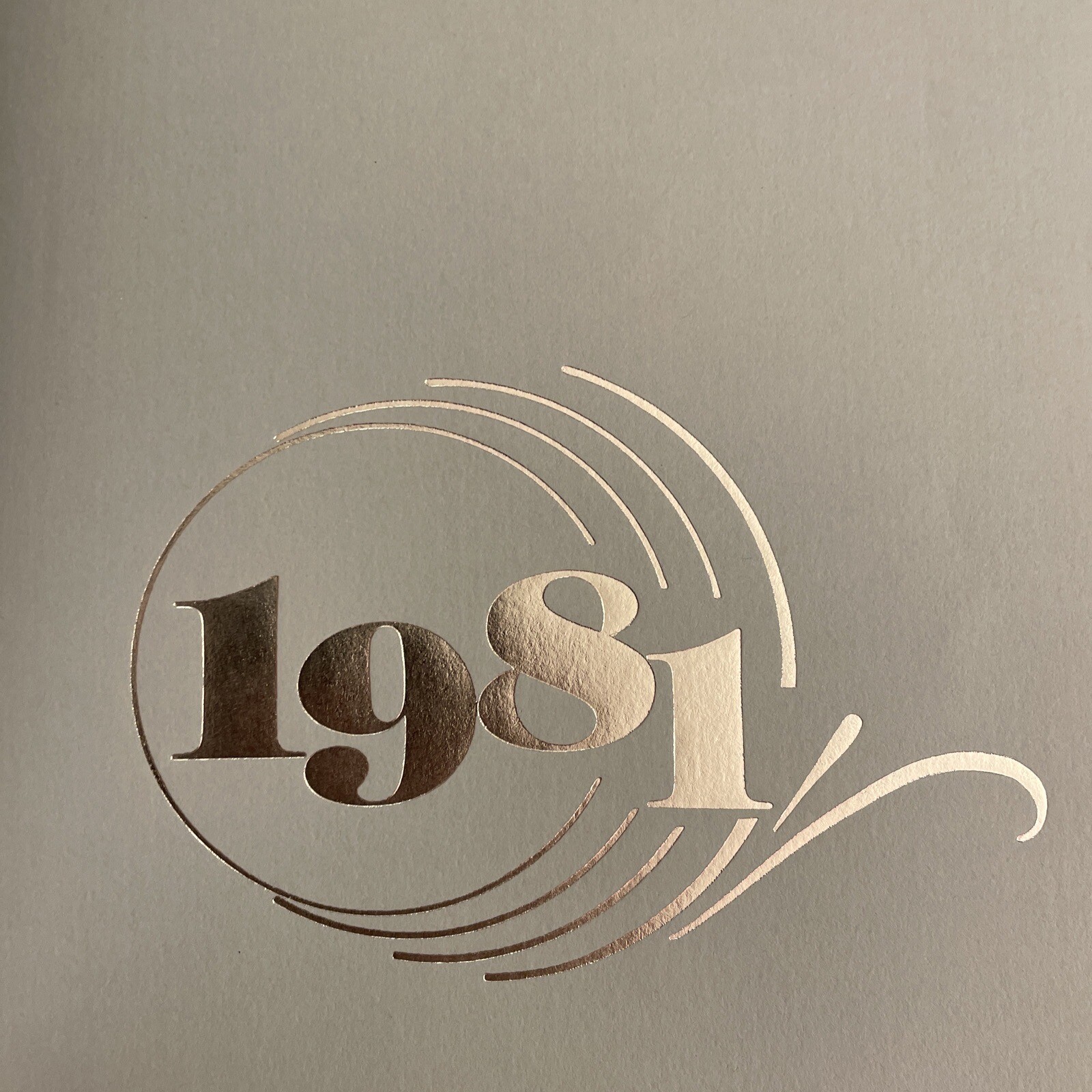 1981 Belleville Mennonite School yearbook Pennsylvania PA BMS year book