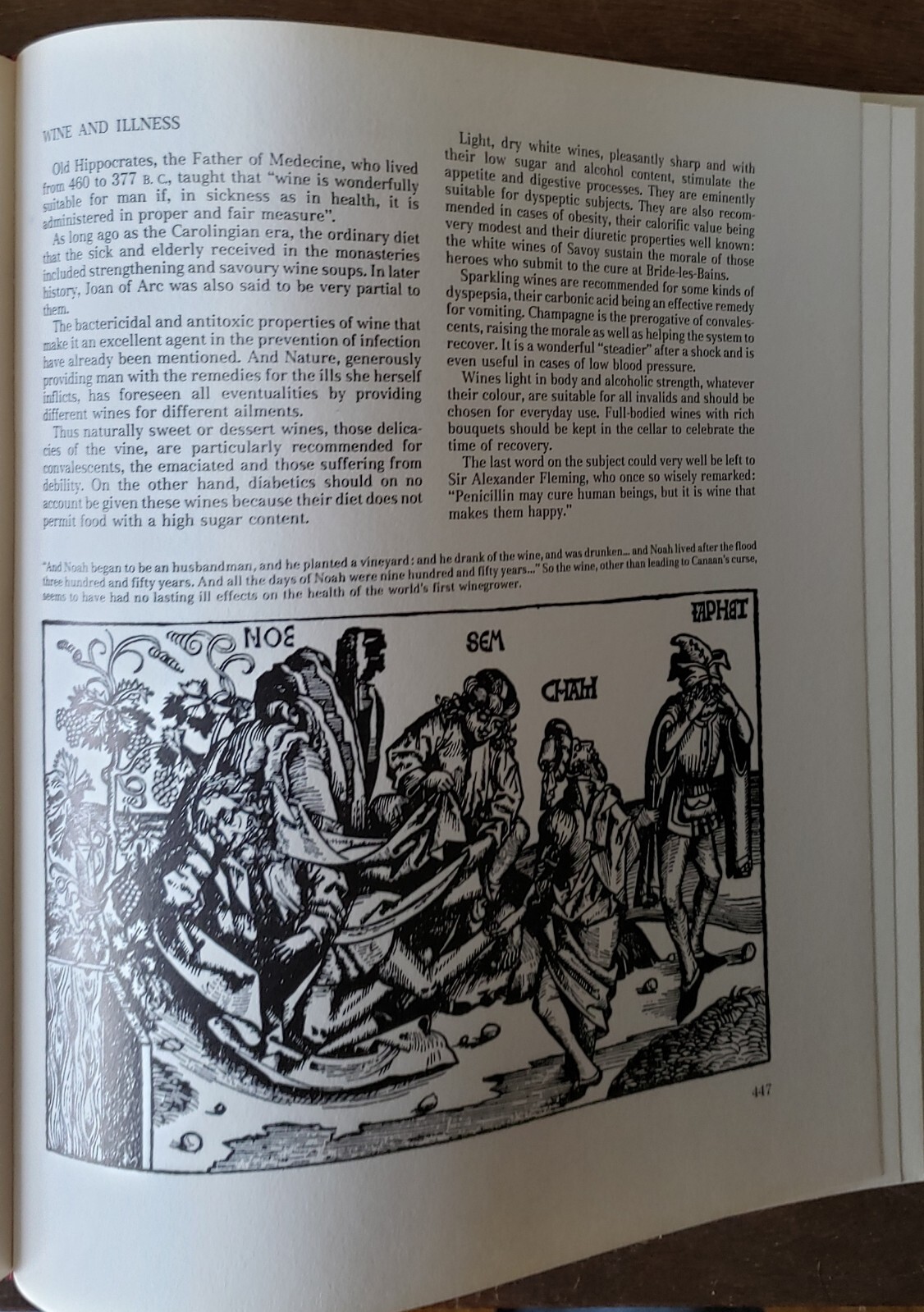 The Great Book of Wine 522 Pages 240 Illustrations 1982 7500 Wines Learn History
