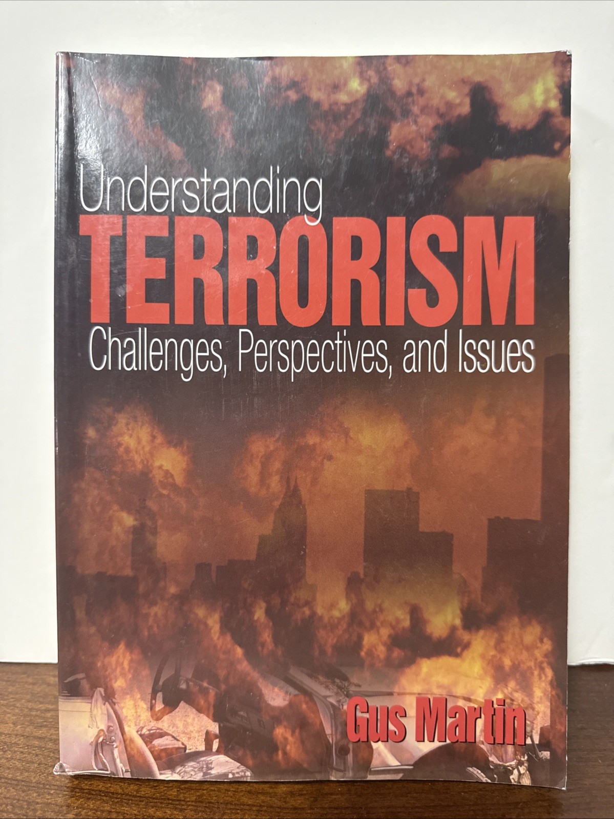Understanding Terrorism: Challenges, Perspectives, and Issues