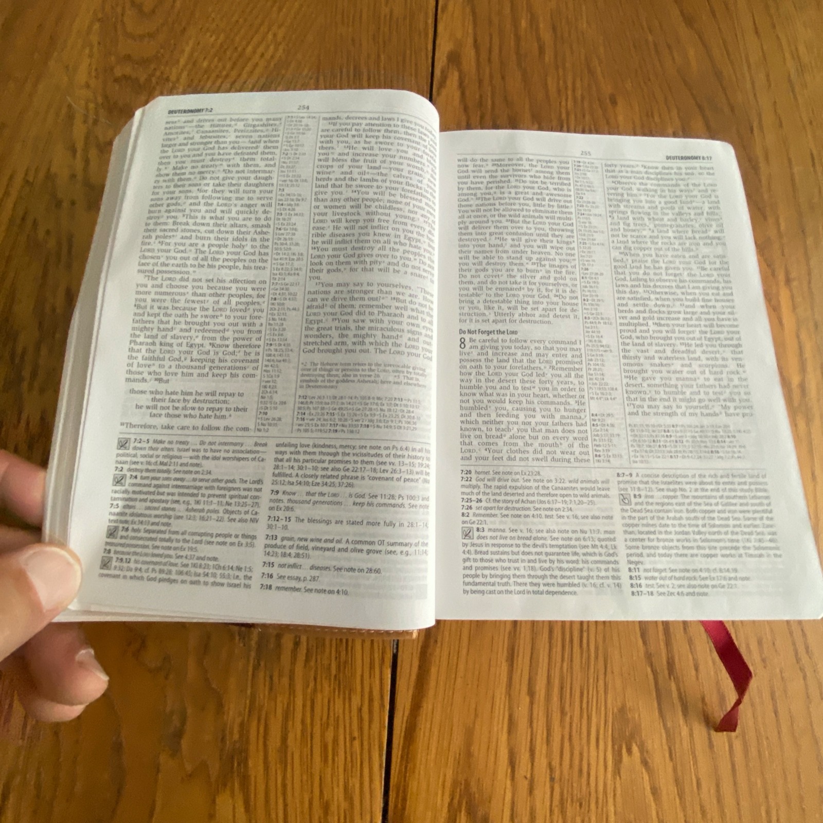 NIV Compact Study Bible Zondervan Italian Duo Tone Camel Burgundy