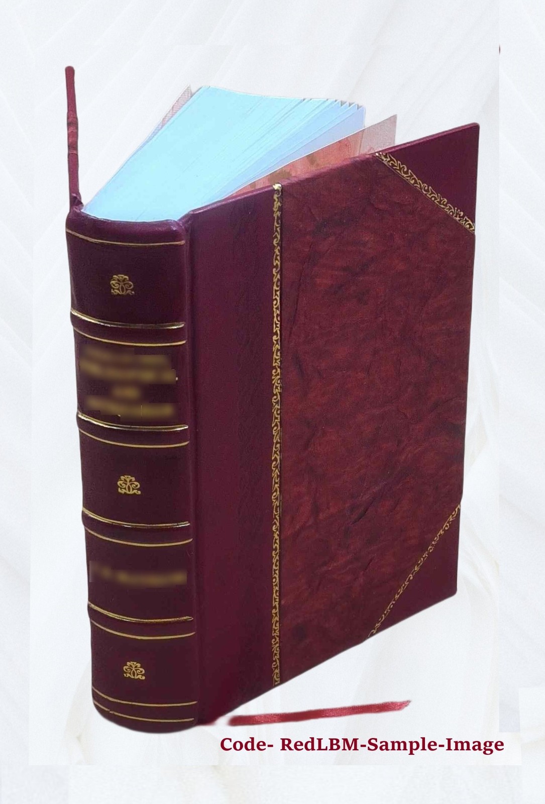 Black’s Law Dictionary 1st Edition 1891 1891 by HENRY CAMPBELL B [Leather Bound]