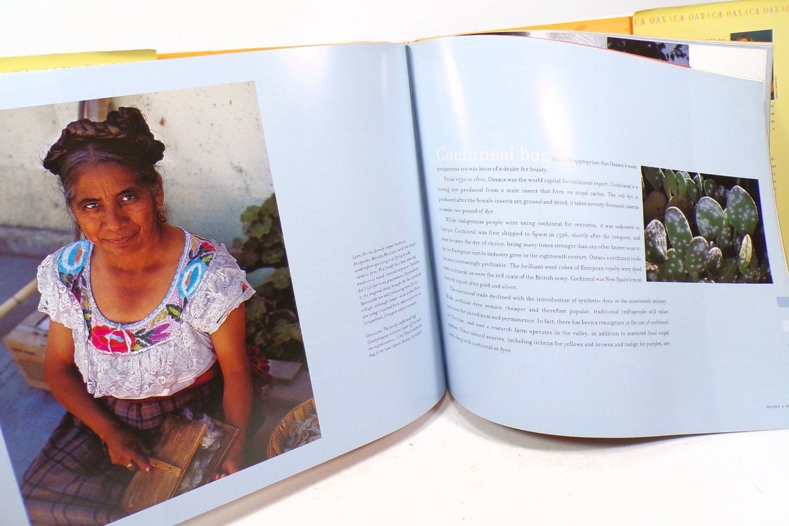 Judith Haden Oaxaca : The Spirit of Mexico Photos of Mexico Traditions People