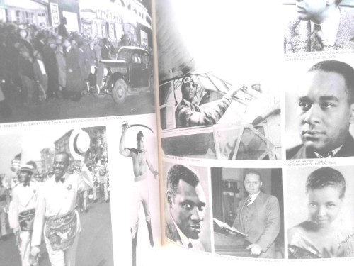 Harlem on My Mind: Cultural Capital of Black America, 1900-1968 (2007-10-30)