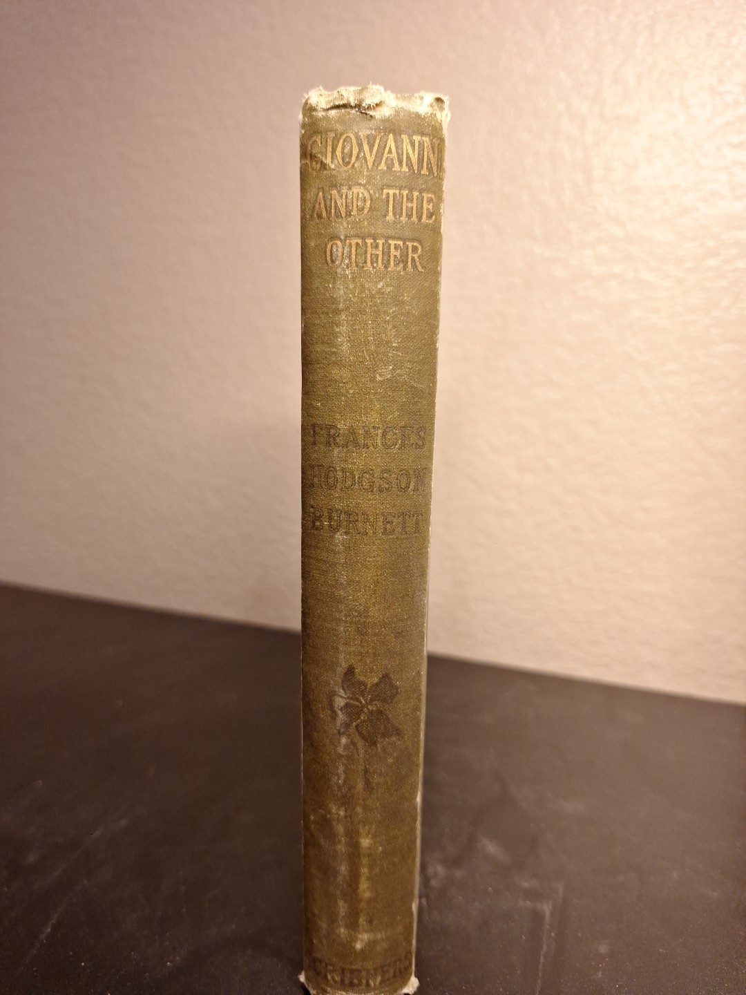 Giovanni and the Other Frances by Hodgson Burnett (1893, Hardcover)