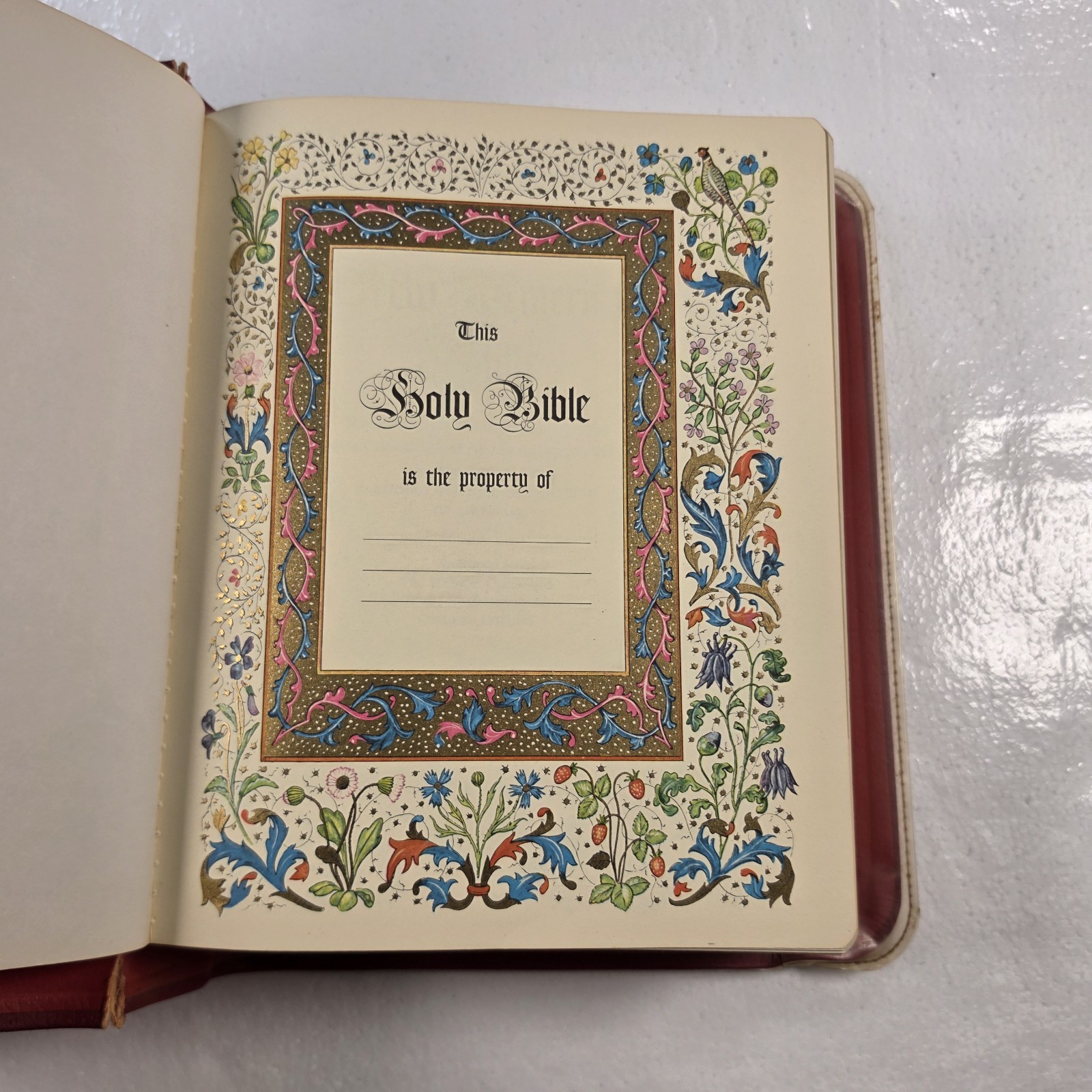 Vtg 1971 New American Bible Holy Name Edition Spiritual Arts Catholic Family