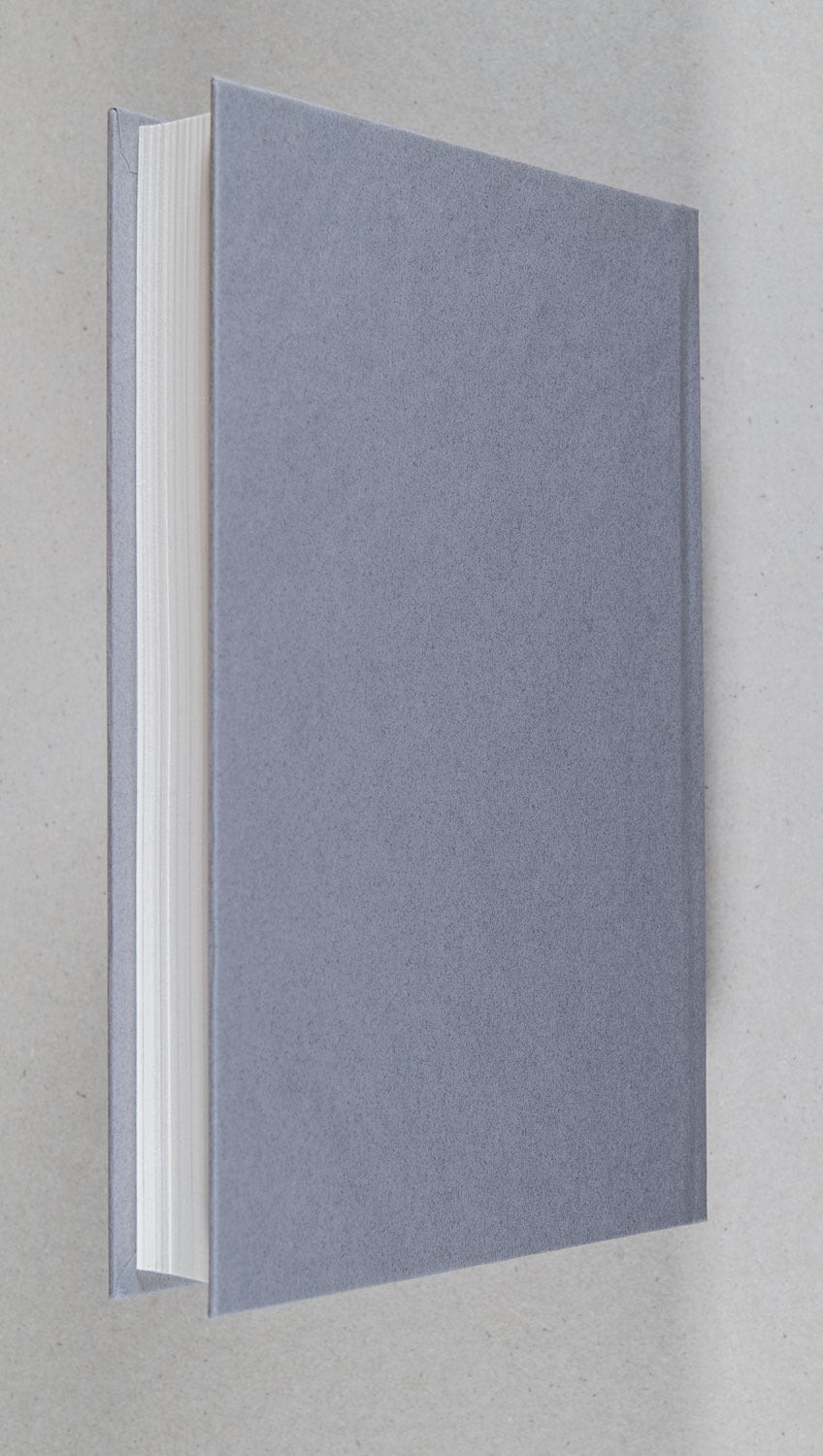 David McCloskey / The Persian A Novel 1st Edition 2025