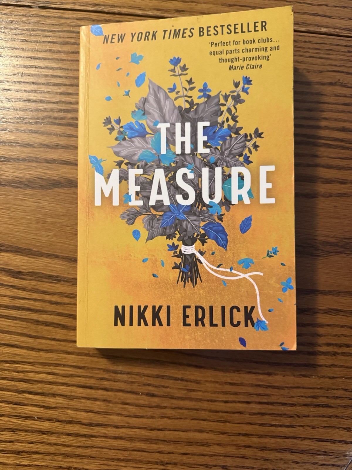 The Measure by Nikki Erlick: Used