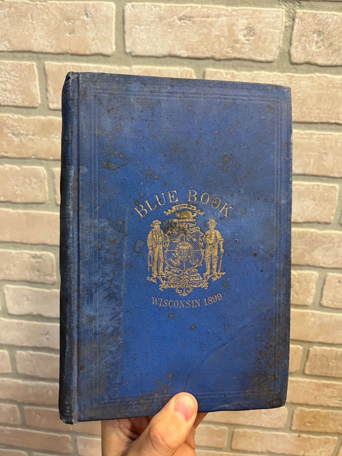 1899 Wisconsin Blue Book Hardcover Book Antique Vintage Diagram Senate and Assem