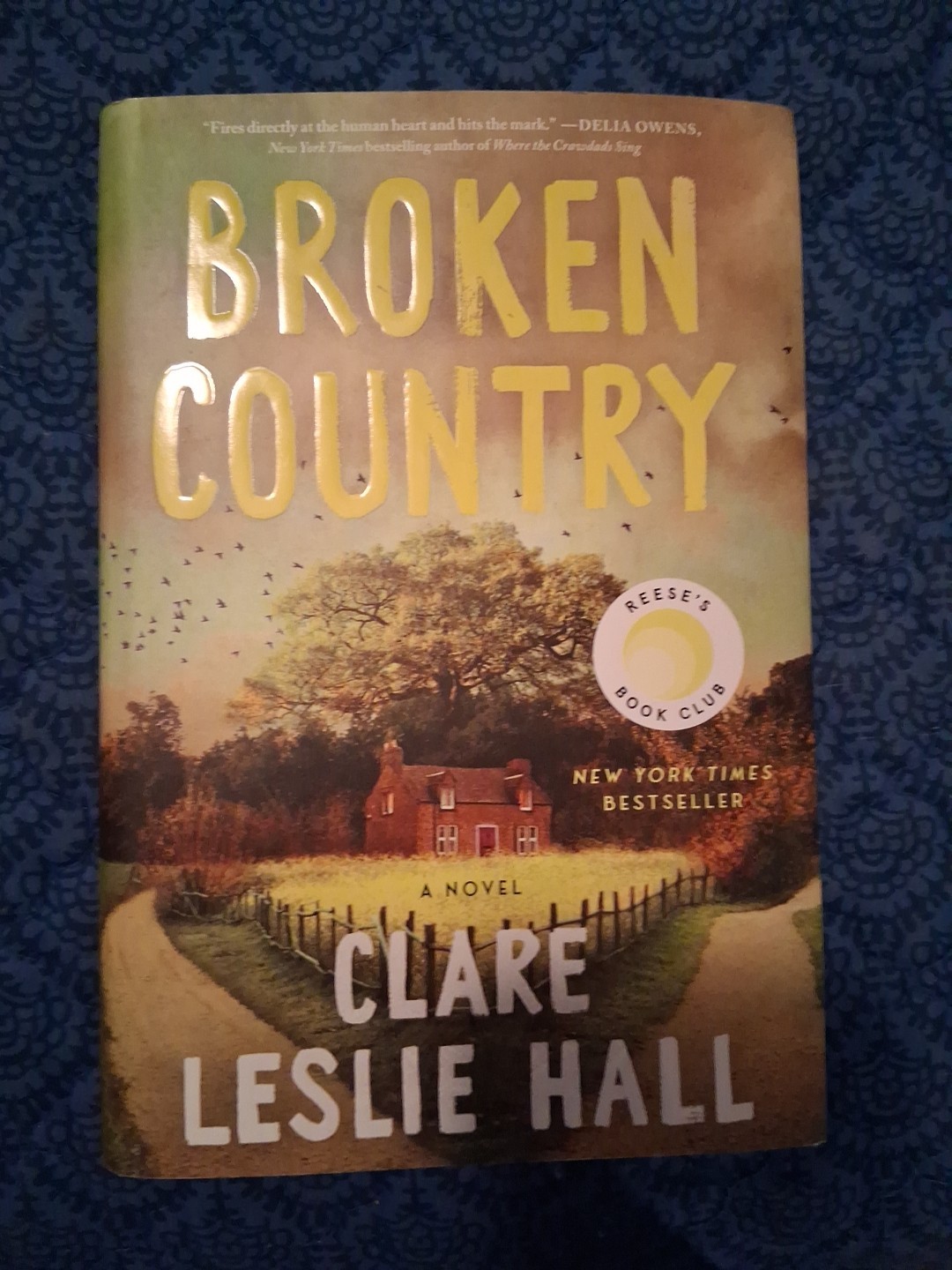 Broken Country by Clare Leslie Hall (2025, Hardcover) 1st Ed Brand New FREE SHIP