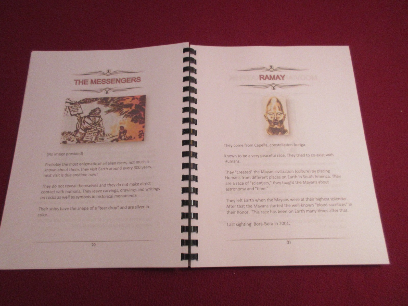 Book Of Alien Races Translated from KGB Secret Russian Book w/Pictures