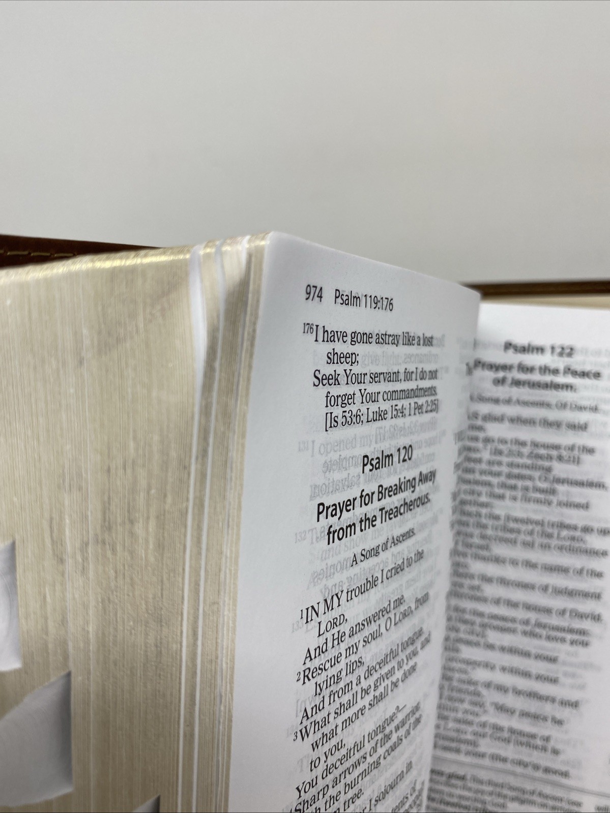 Amplified Study Bible Leathersoft Brown Thumb Indexed 2017 Zondervan