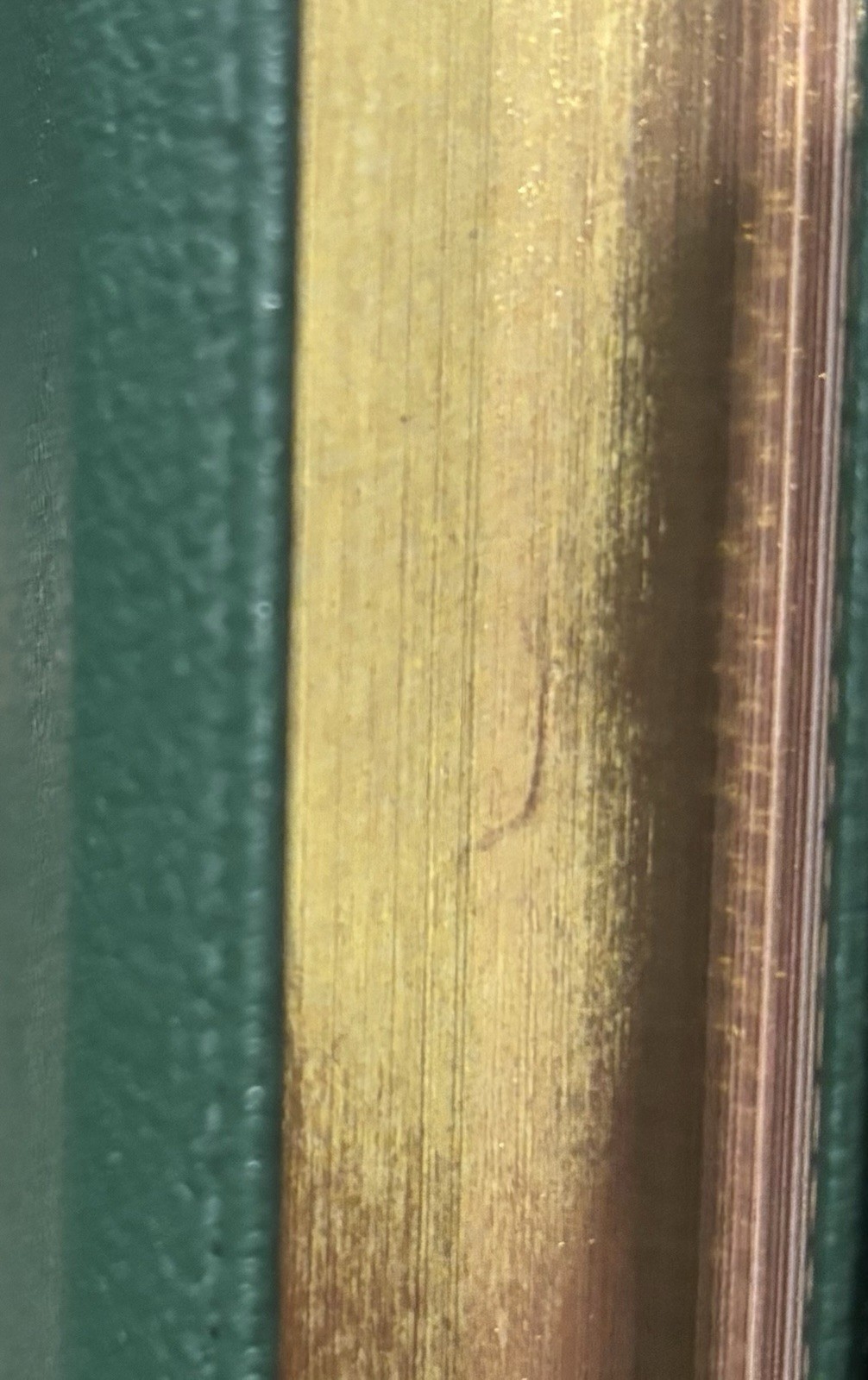 Thomas Nelson Nkjv Large Print Thinline. Limited Edition Green Goatskin