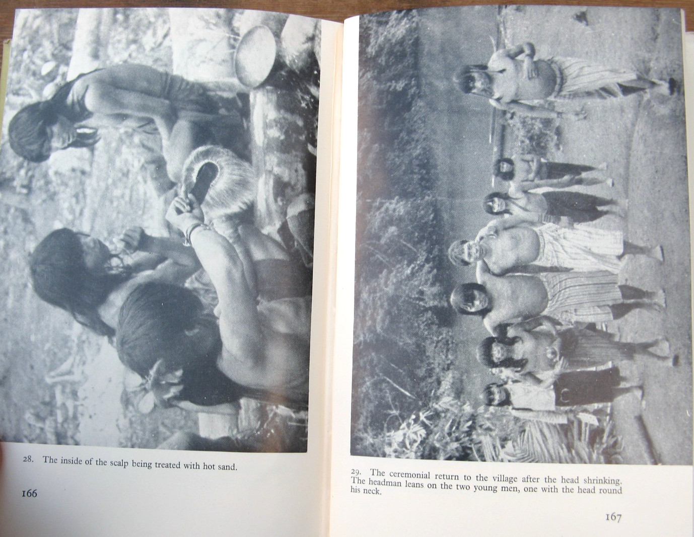 1953 Jivaro Among the Headshrinkers of the Amazon- Bertrand Flornoy 1st Edition