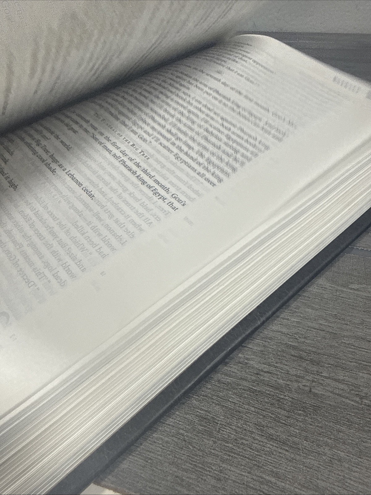 The Message Study Bible: Capturing the Notes and Reflections of Eugene Peterson