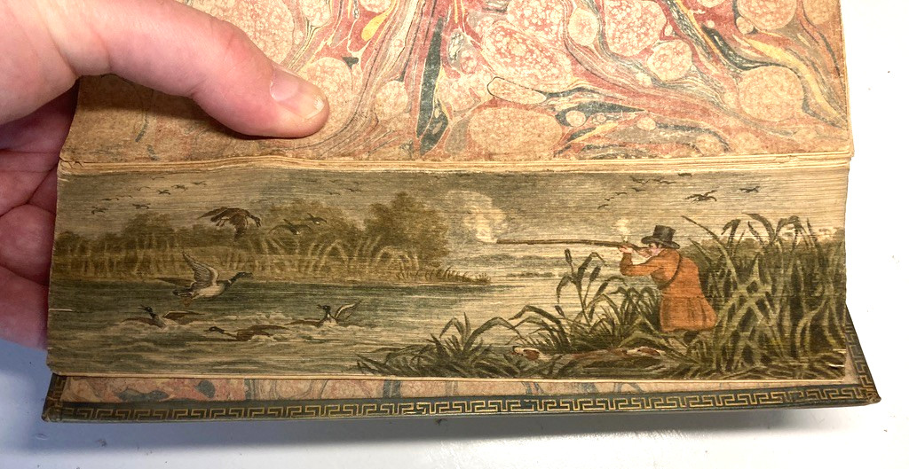 Edwards of Halifax 1792 Transparent Vellum Binding FORE-EDGE PAINTING Zimmermann