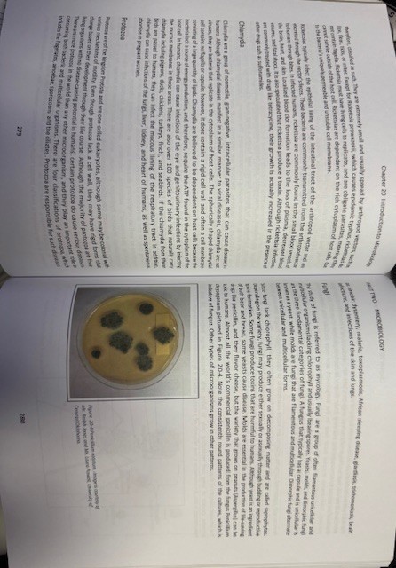 Pathology and Microbiology for Mortuary Science SECOND EDITION