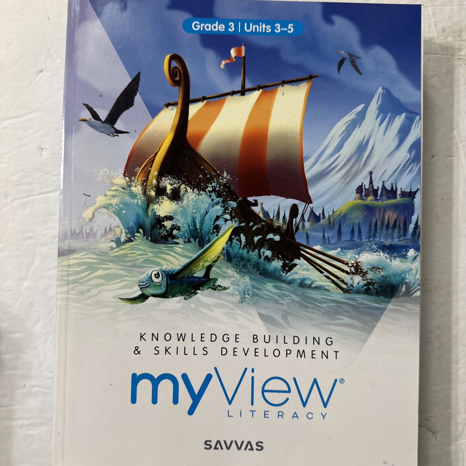 My View Grade 3 Unit 3-5 Savvas reading and writing new other