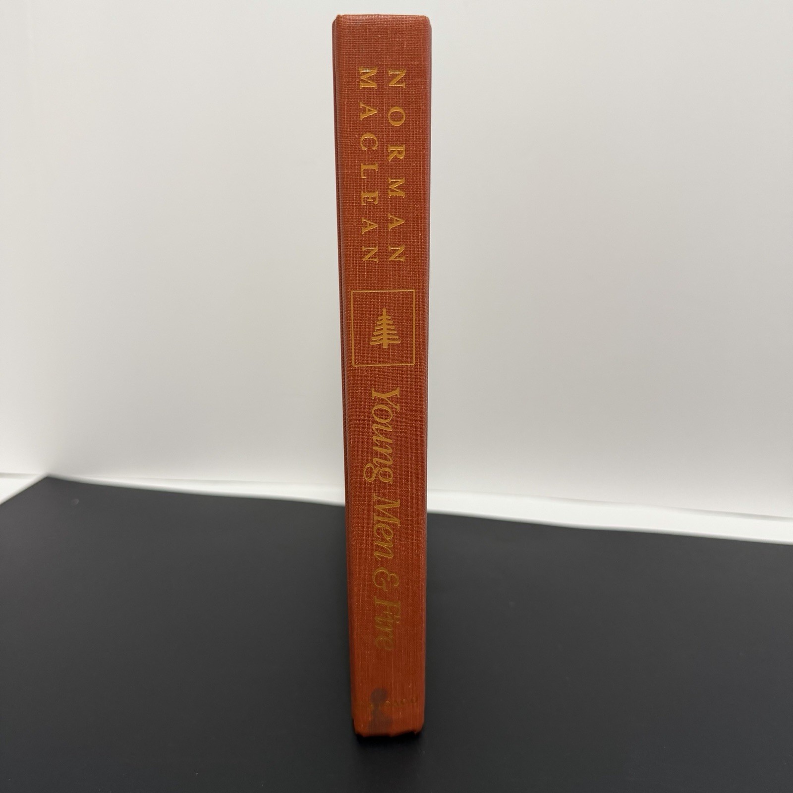 YOUNG MEN AND FIRE Norman Maclean 1992 FIRST Edition/Printing HC Mann Gulch Fire