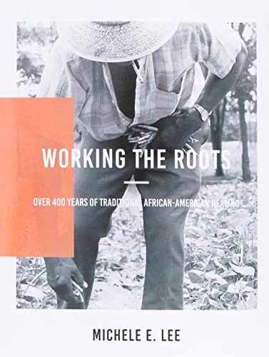Working The Roots: Over 400 Years – Paperback, by Lee Michele Elizabeth – New v