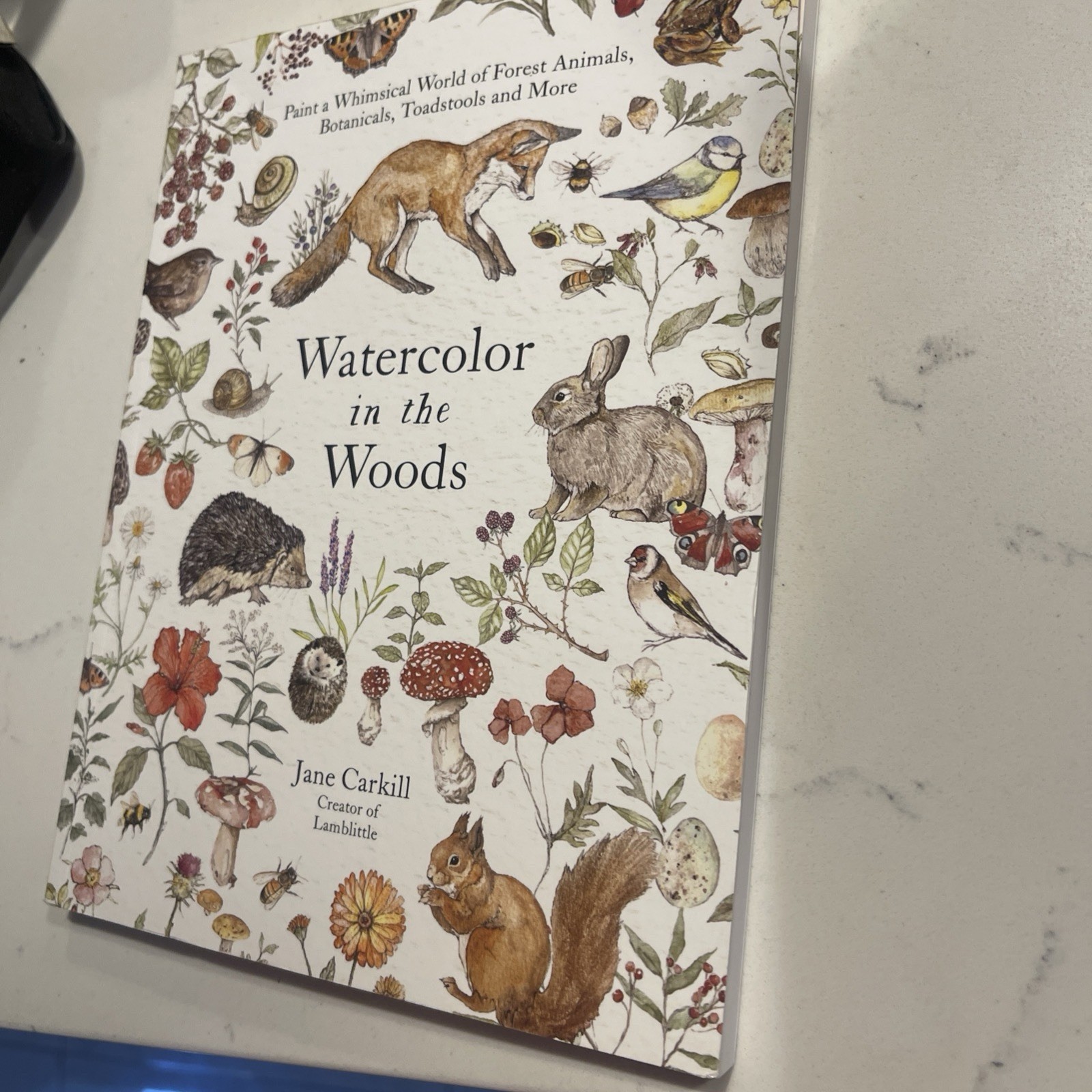 Watercolor in the Woods By Jane Carkill Paint Whimsical World Of Forest Animals