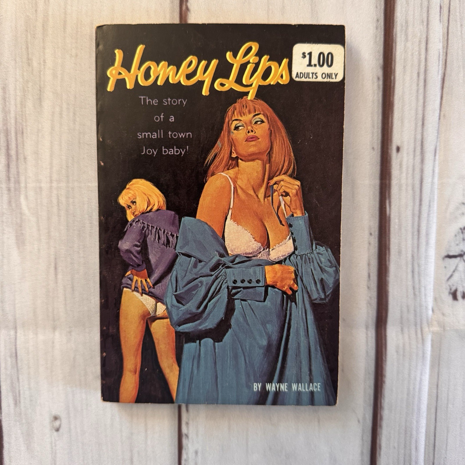Honey Lips Wayne Wallace Vintage Sleaze Lesbian Paperback GGA Pulp 1964 GGA