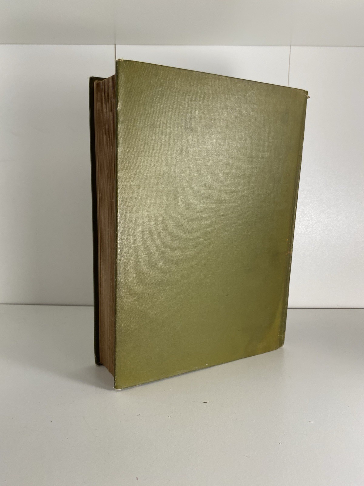 Antique Illustrated The American Natural History WT Hornaday 1912 Hardcover