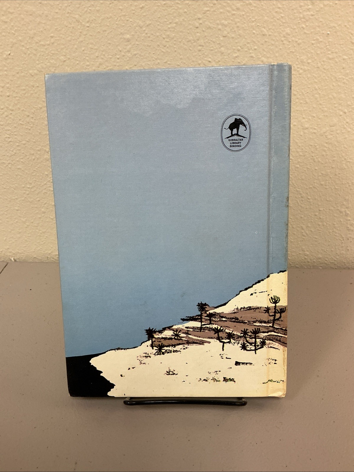 VINTAGE “THE PRINCESS AND THE LION” BY ELIZABETH COATSWORTH 1ST EDITION (1963)