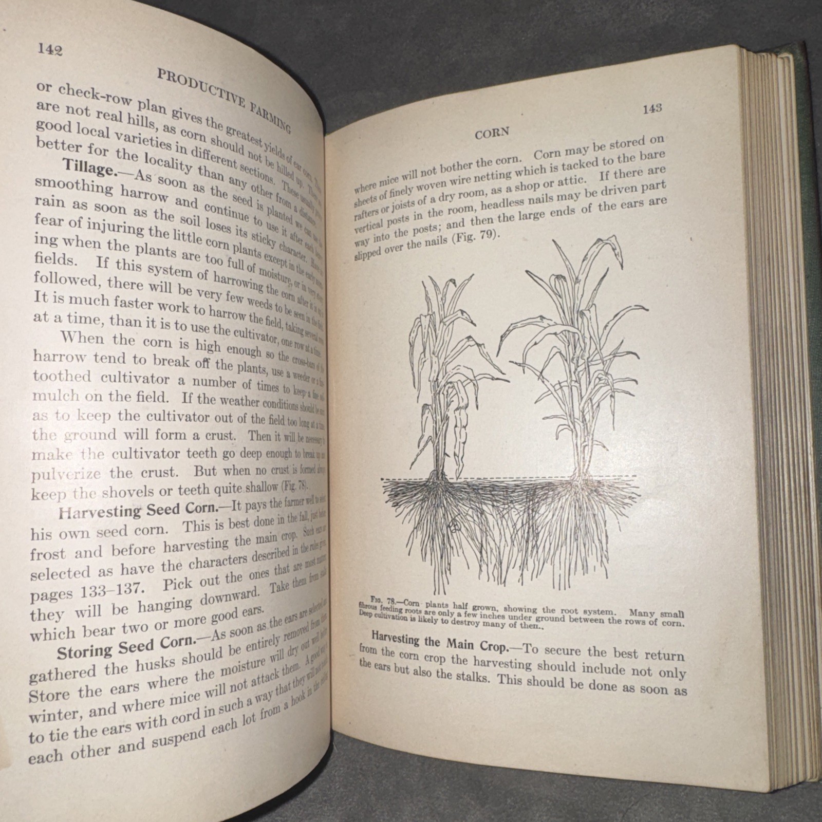 Productive Farming by Kary Davis 1912 Vintage Agriculture Book