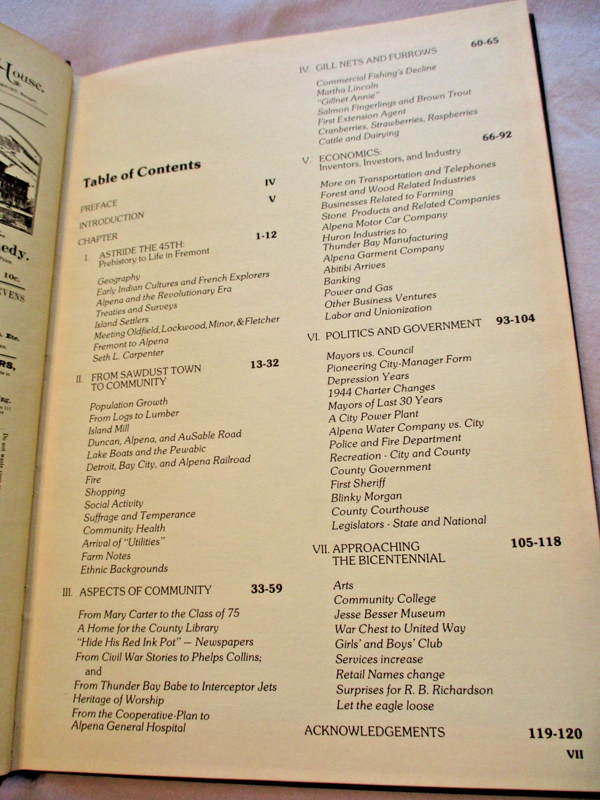HOME WAS ALPENA Bicentennial History JOHN WESLEY LAW North Michigan Photos 1975