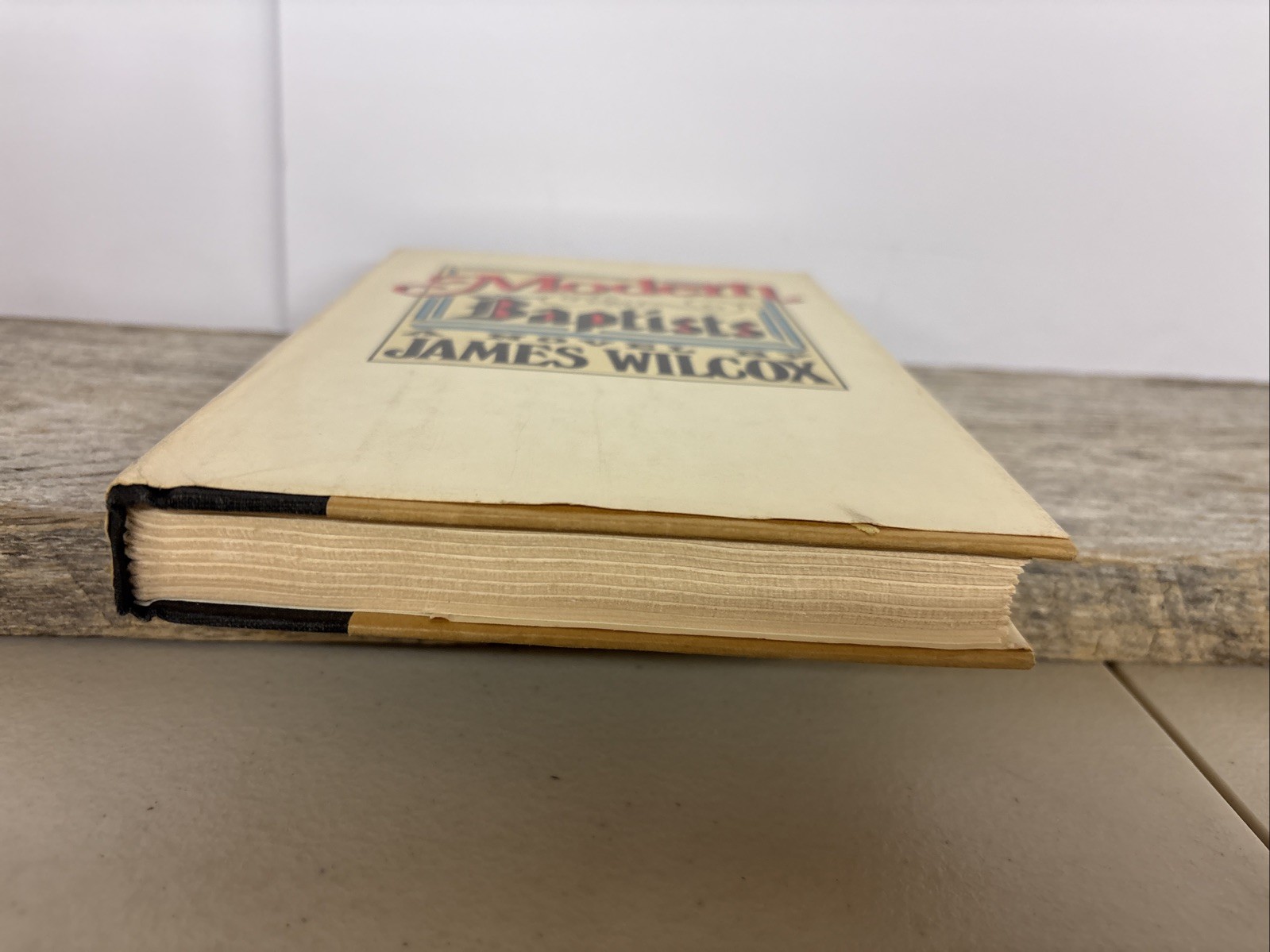 Modern Baptists by James Wilcox Dial Press First Printing 1983 Vintage Hardcover