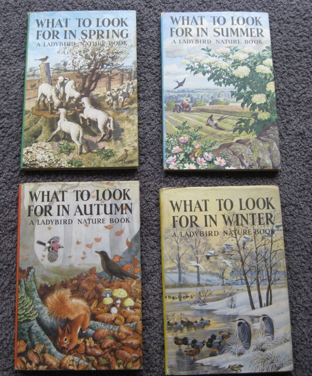 LADYBIRD Books 4 x Series 536 What to Look for in Spring Summer Autumn Winter DJ