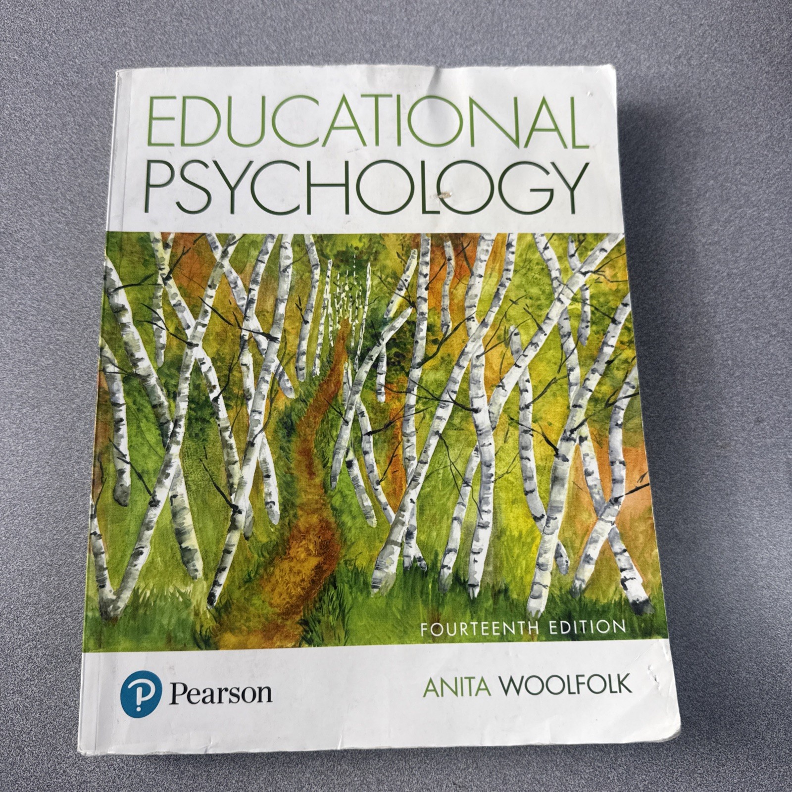 Educational Psychology by Anita Woolfolk (14th Ed.) NO ACCESS CODE