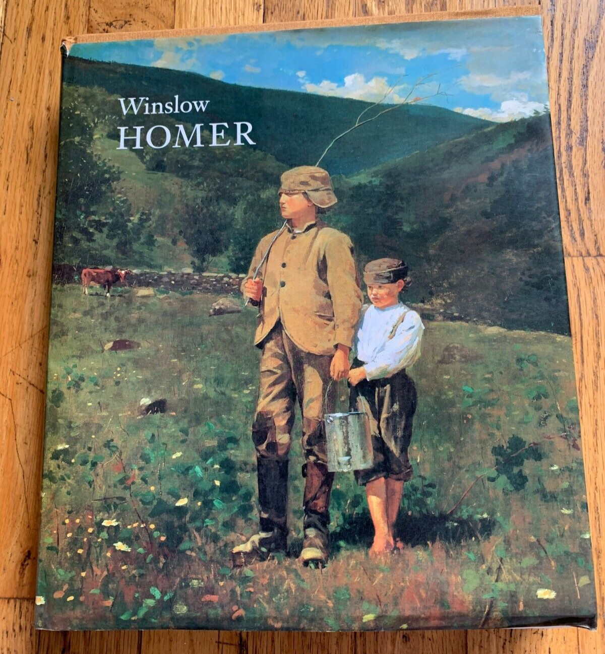 Winslow Homer National Gallery of Art Exhibition Guide 1996 HC DJ