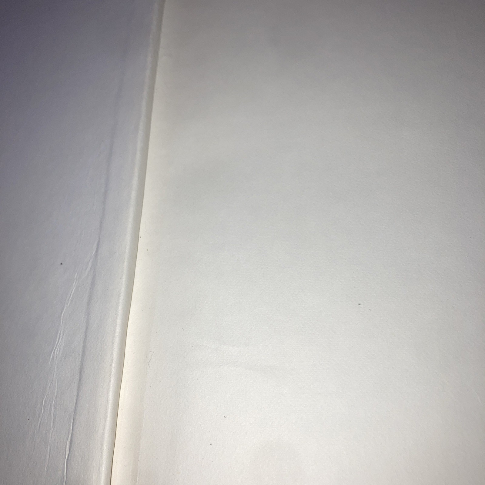 A Dictionary Of The English Language By Johnson 1979 Times Edition