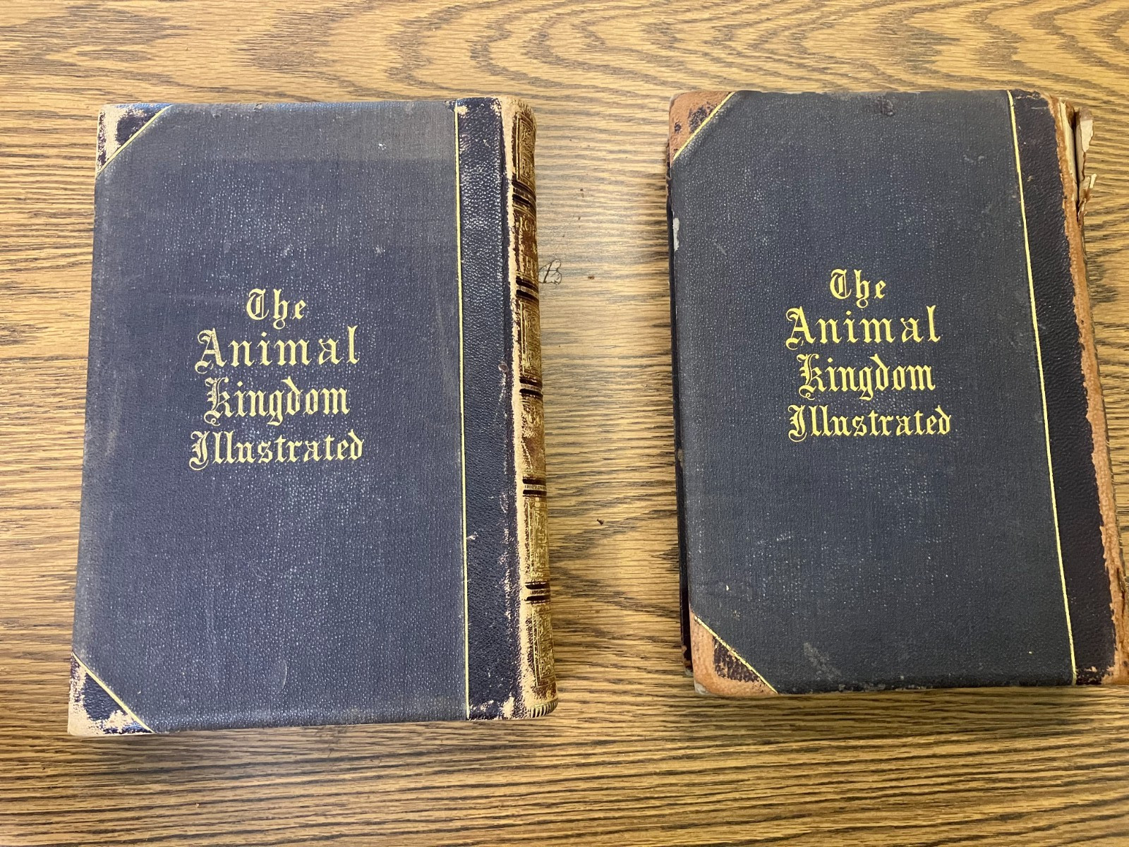 Johnson’s Natural History, Animal Kingdom, Vol. 1&2, by S. G. Goodrich, 1874