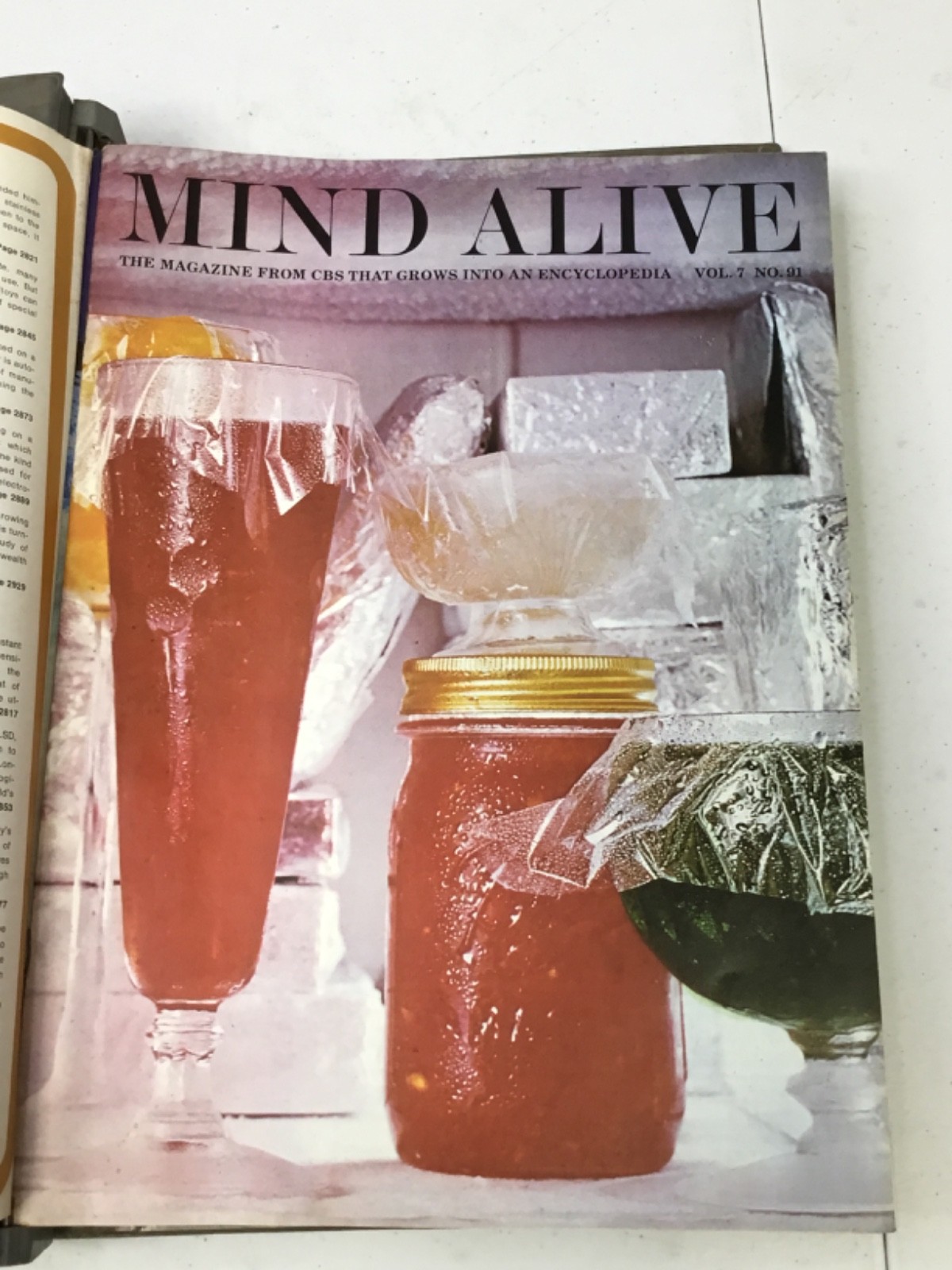 Mind Alive Encyclopedia Complete Set 8 Vol + Index. 1968-70 Binders