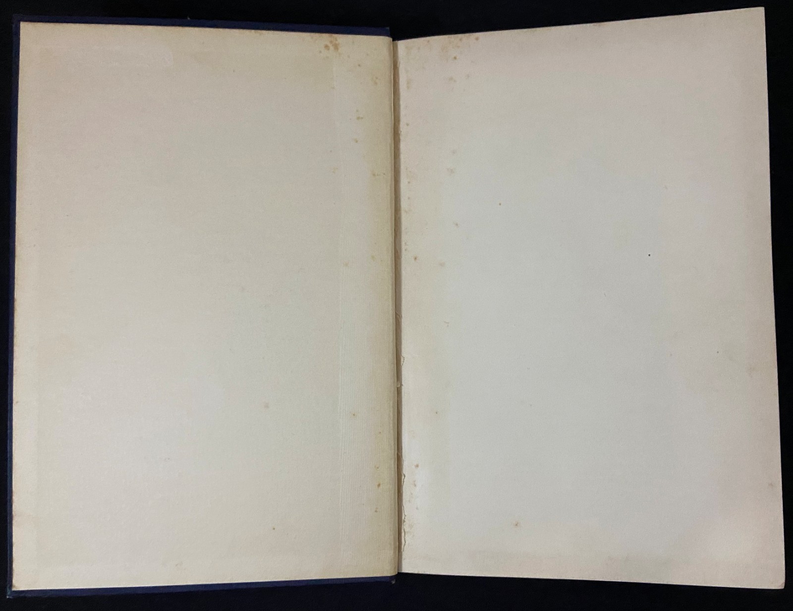 1901 MOTHS AND BUTTERFLIES Entomology DICKERSON Antique Natural History Book