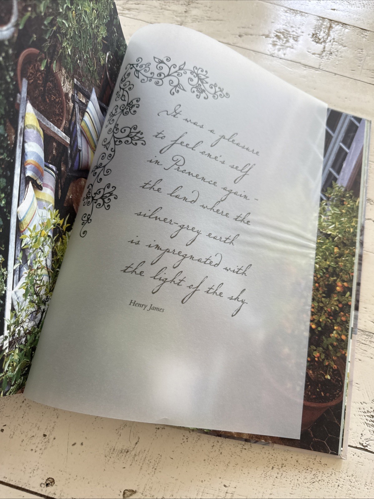 La Vie est Belle Henrietta Heald HC 2013 French Style Interior Design Decor
