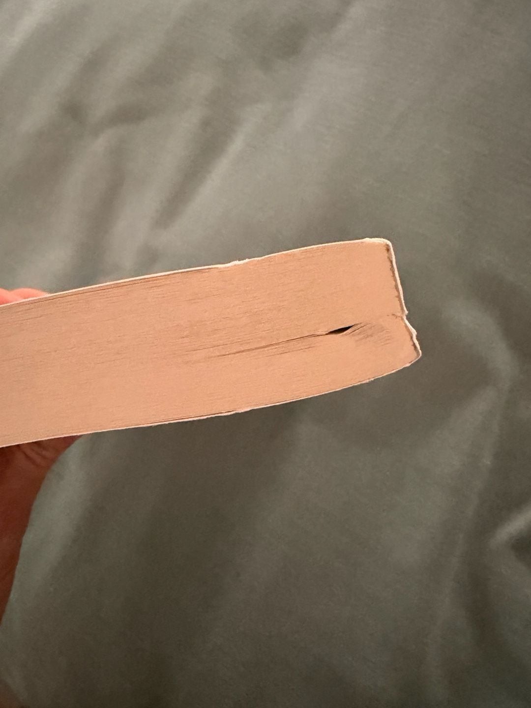 It Ends with Us by Colleen Hoover (Signed Paperback first edition)