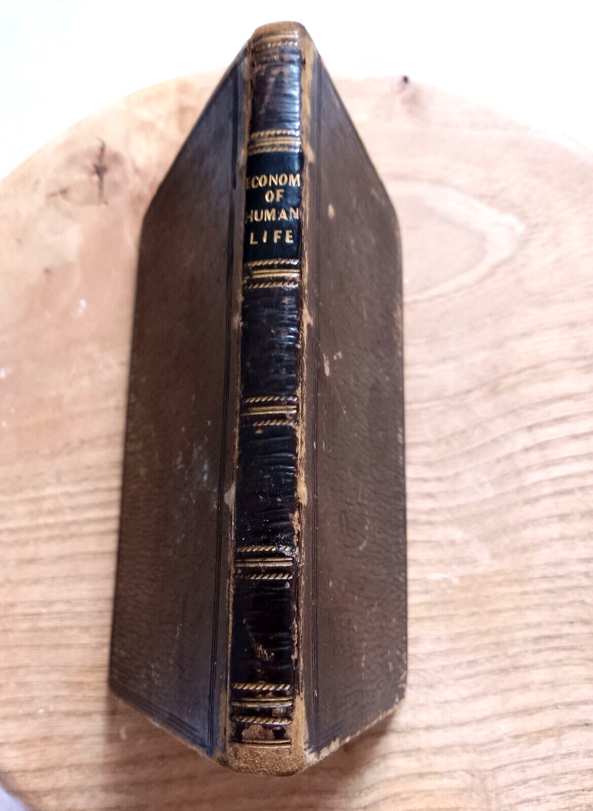 Antiquarian, miniature leather binding 12cm x 7cm The Economy of Human Life 1808