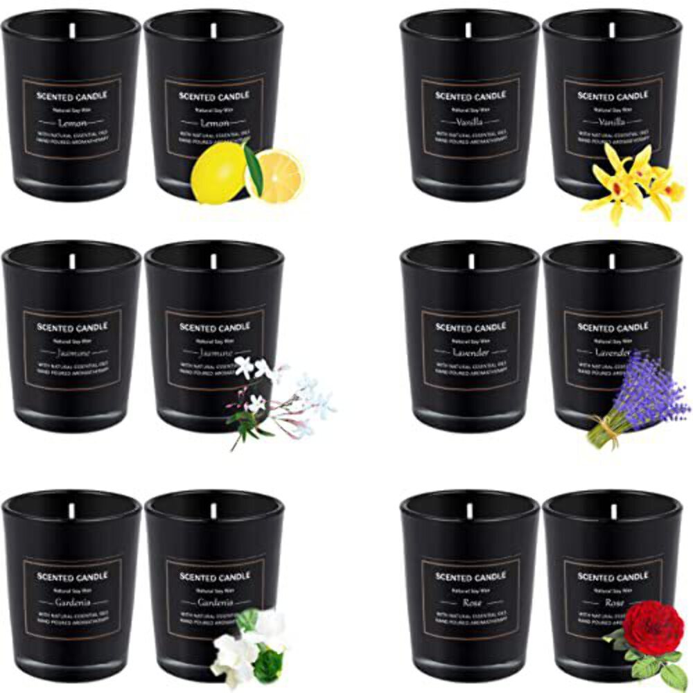 12 Pack Scented Candles Gift Set 2.5oz Aromatherapy Candle Soy
