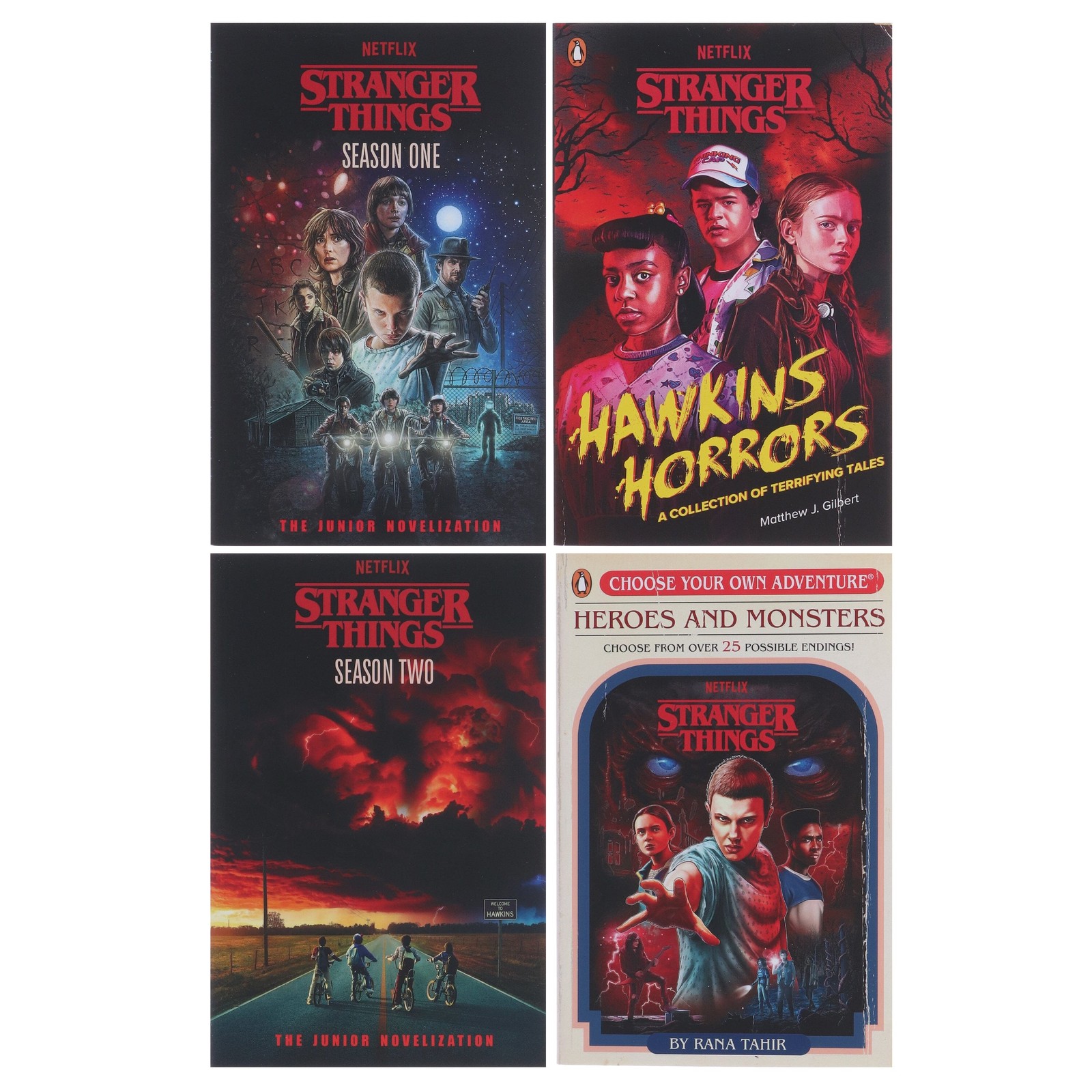 Stranger Things Collection 4 Books Set – Ages 7-14 – Paperback