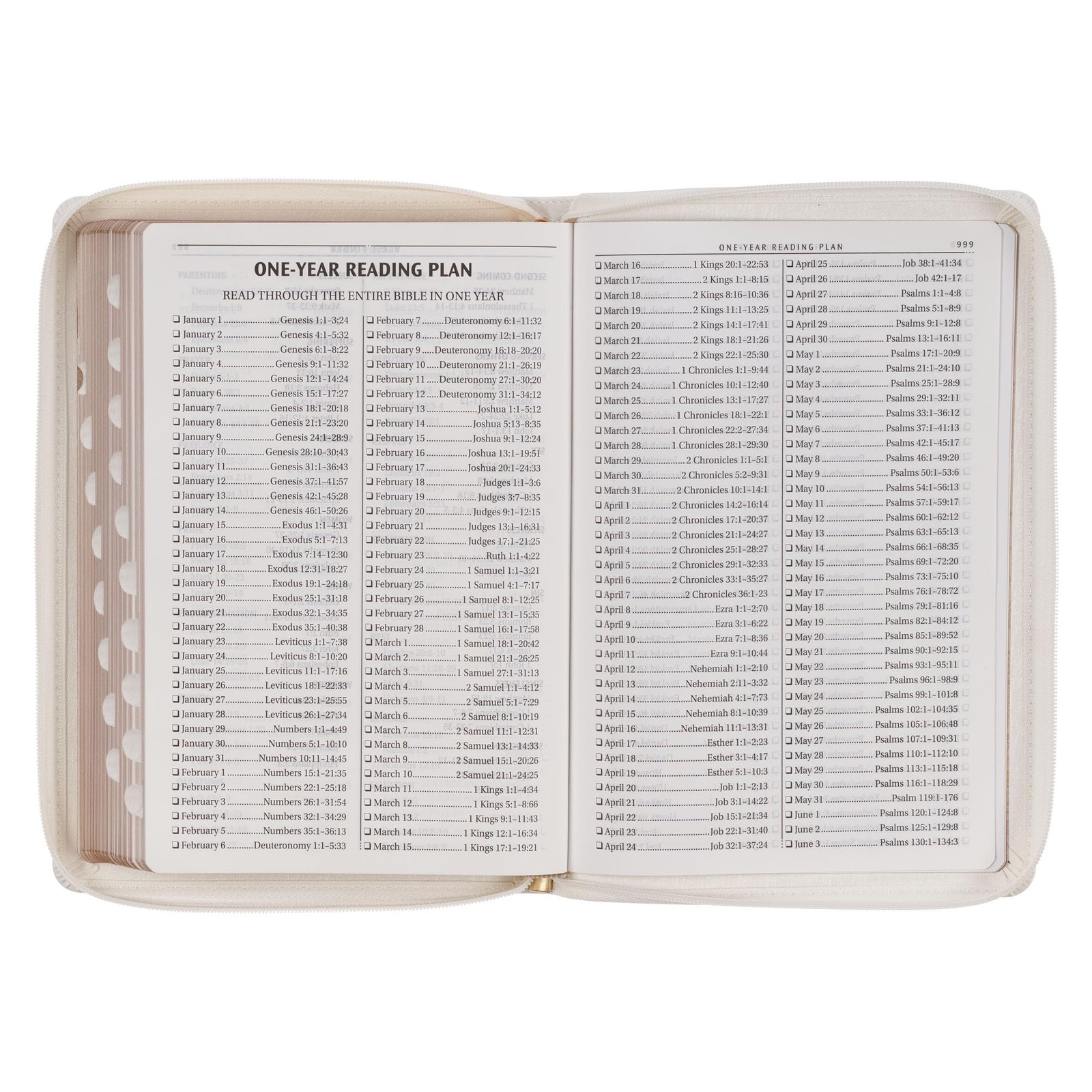 KJV Holy Bible by King James Version Thinline Large Print Vegan Leather Zipper