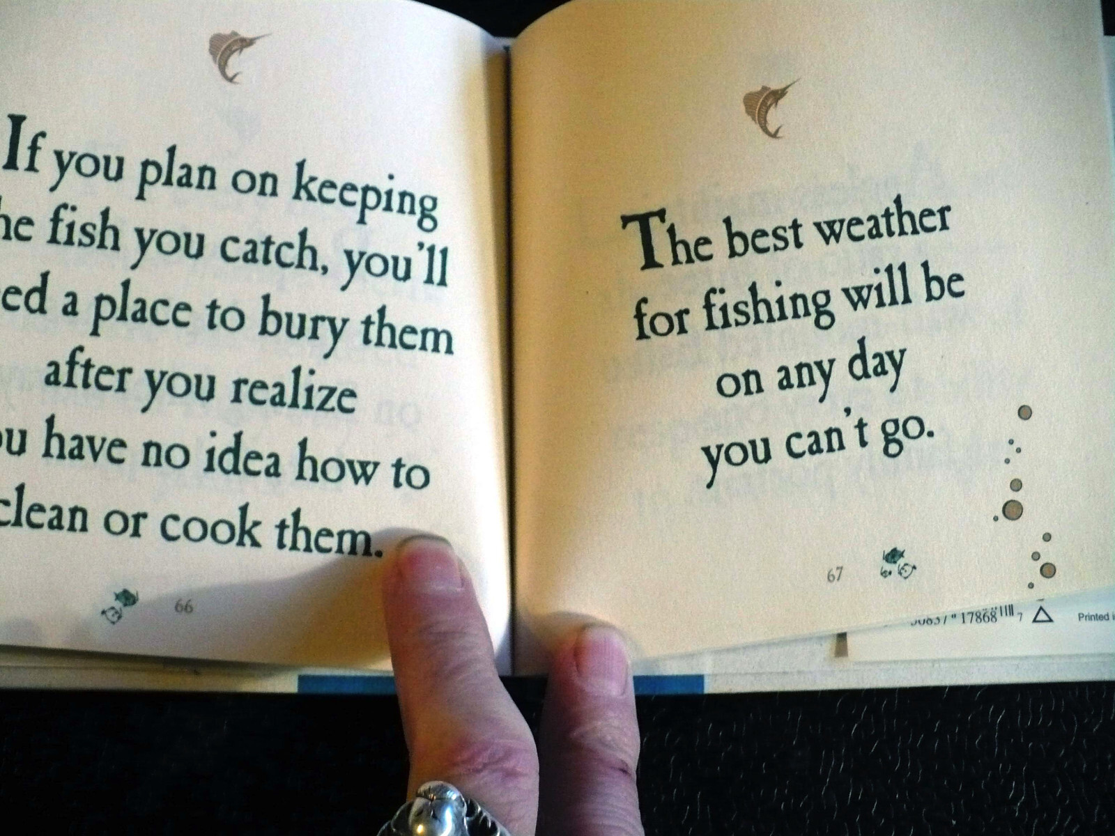 The Laws of Angling, by Randy Voorhees, 92 pages